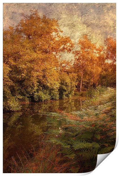 Autumn River Print by Julie Coe