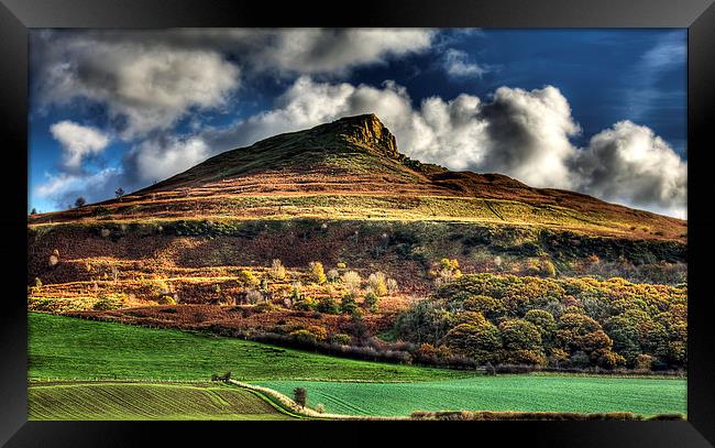 Autumn Gold - Roseberry Topping Framed Print by Nigel Lee