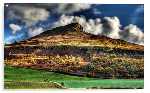 Autumn Gold - Roseberry Topping Acrylic by Nigel Lee