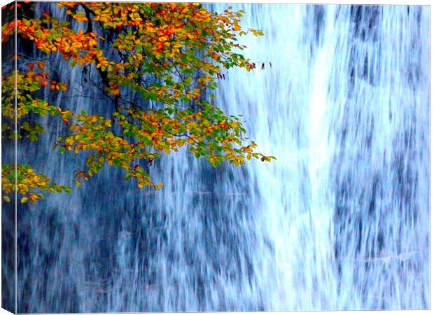 Autumn Waterfall Canvas Print by Jennifer Henderson