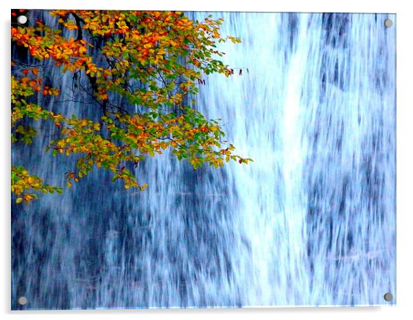 Autumn Waterfall Acrylic by Jennifer Henderson