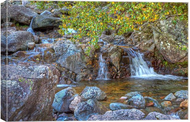 Stickle Ghyll Canvas Print by Roger Green
