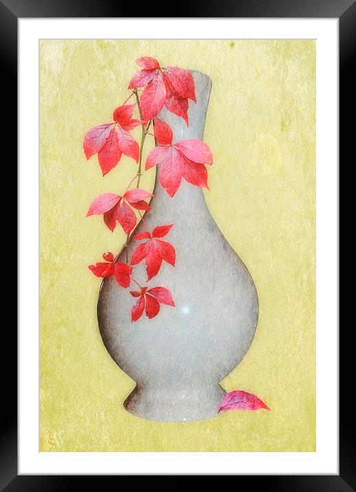 Autumn in a Vase Framed Mounted Print by Christine Lake