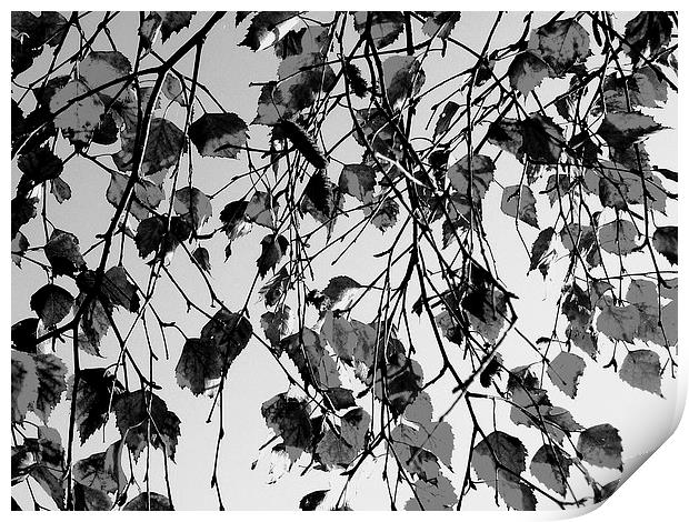 Grey Leaves Print by james richmond