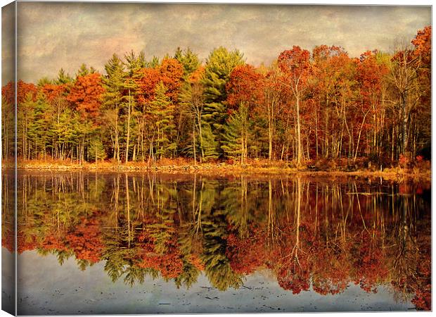 Autumn Woods Canvas Print by Mary Lane