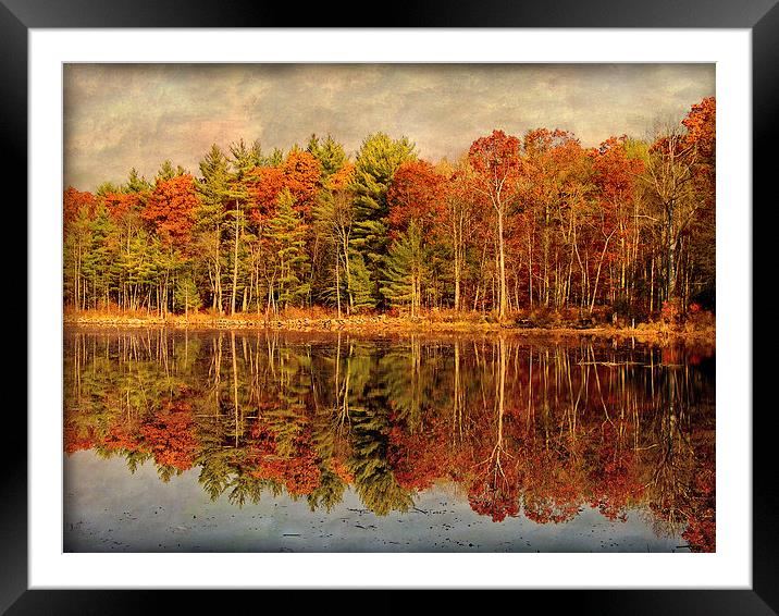 Autumn Woods Framed Mounted Print by Mary Lane