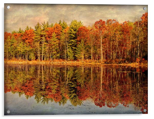 Autumn Woods Acrylic by Mary Lane