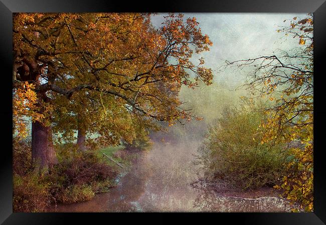 Autumn at Chiddingstone Framed Print by Dawn Cox
