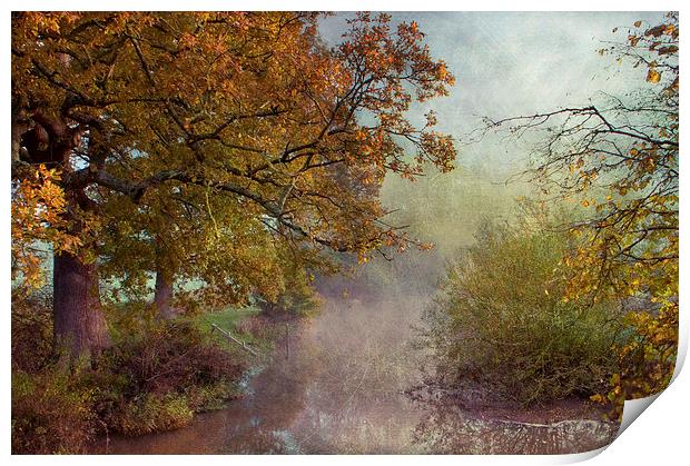 Autumn at Chiddingstone Print by Dawn Cox