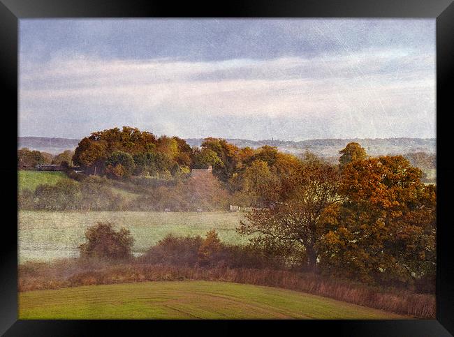 Last days of Autumn Framed Print by Dawn Cox