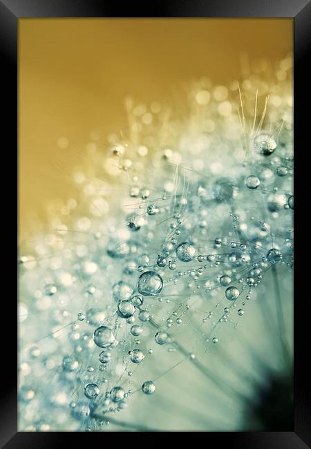 Ocean Blue Dandy Sparkles Framed Print by Sharon Johnstone