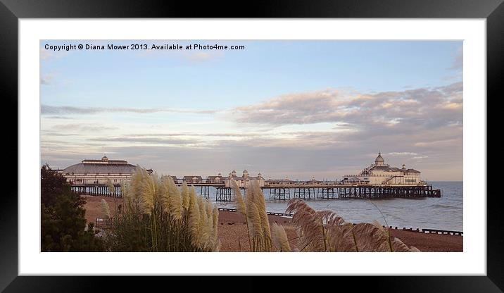 Eastbourne Pier East Sussex Framed Mounted Print by Diana Mower