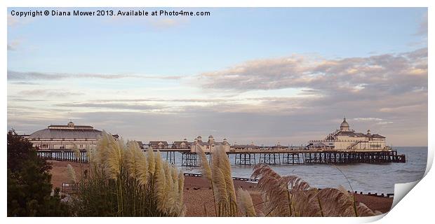 Eastbourne Pier East Sussex Print by Diana Mower