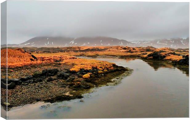 Iceland, Landscape View Canvas Print by Robert Cane