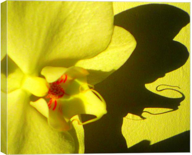 Orchid shadow delight Canvas Print by Paula Palmer canvas