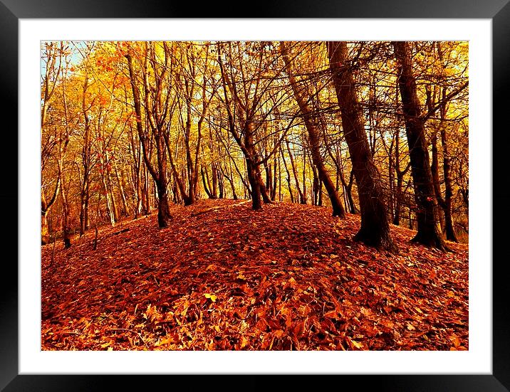 Autumnal Carpet Framed Mounted Print by Darren Whitehead