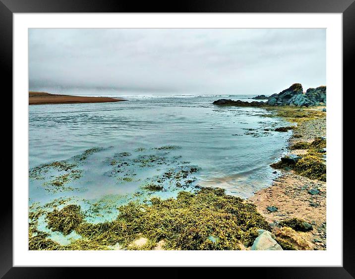 Iceland, Seaweed and Rocks Framed Mounted Print by Robert Cane