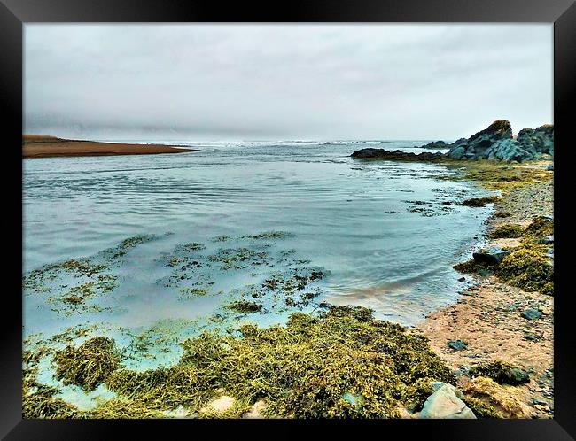 Iceland, Seaweed and Rocks Framed Print by Robert Cane