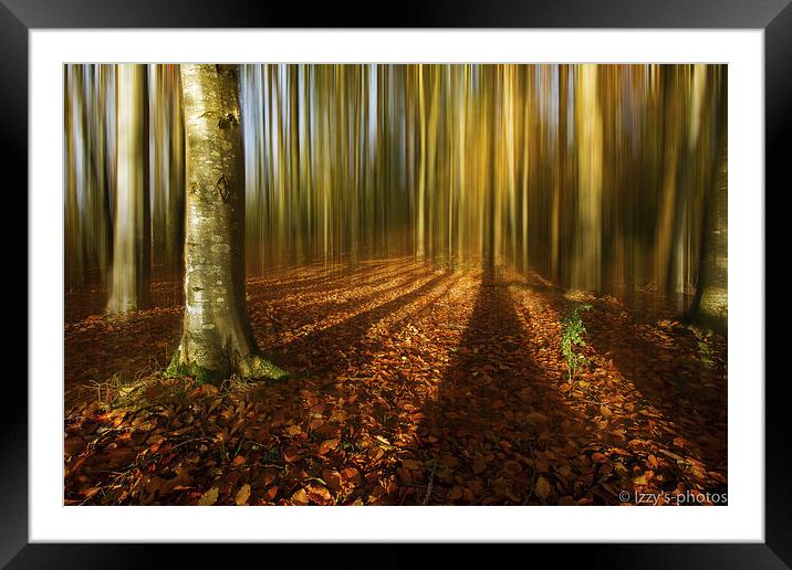 Autumn beech blur Framed Mounted Print by Izzy Standbridge