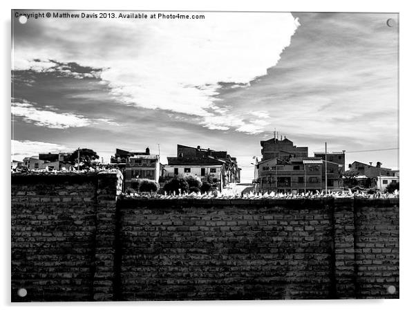 Brick Wall Acrylic by Matthew Davis
