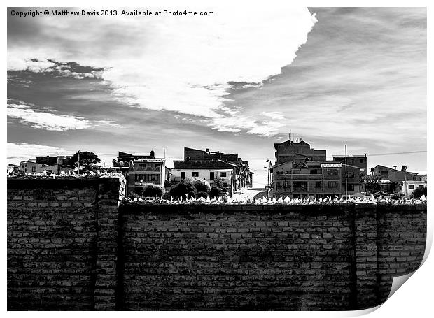 Brick Wall Print by Matthew Davis