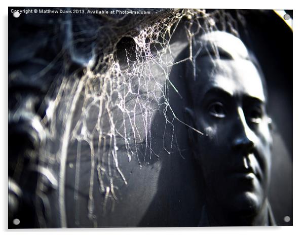 Caught in a Web Acrylic by Matthew Davis