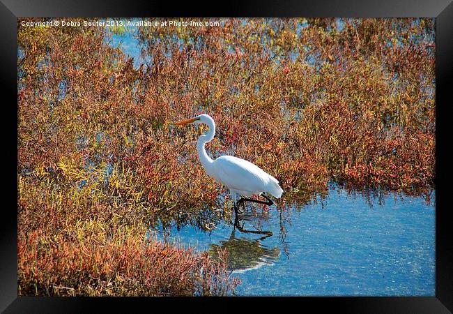 Wandering barefoot Framed Print by Debra Farrey