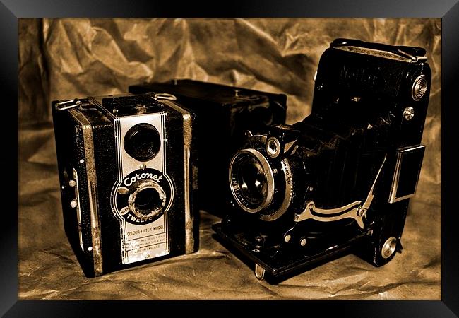 Old Cameras 2 Framed Print by Samantha Higgs