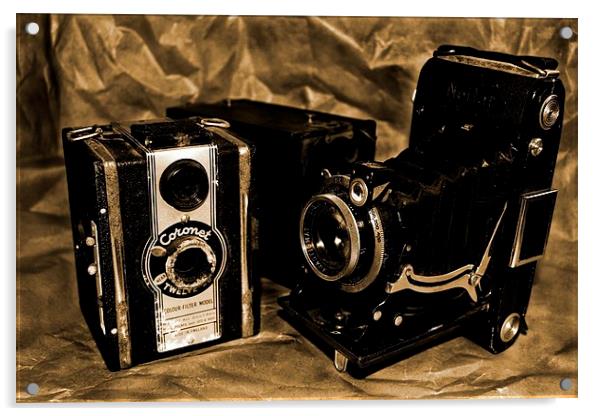 Old Cameras 2 Acrylic by Samantha Higgs
