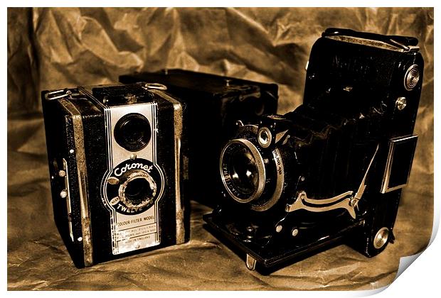 Old Cameras 2 Print by Samantha Higgs