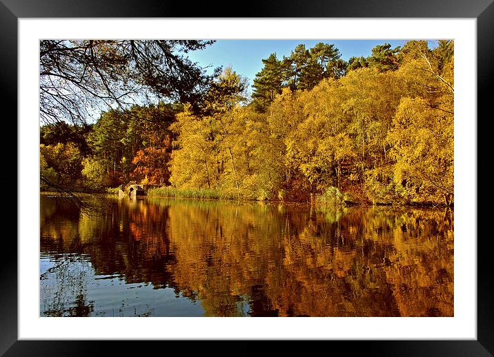 Autumn at Stockgrove Framed Mounted Print by graham young