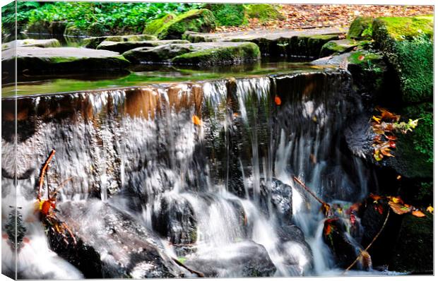 the waterfall Canvas Print by sue davies