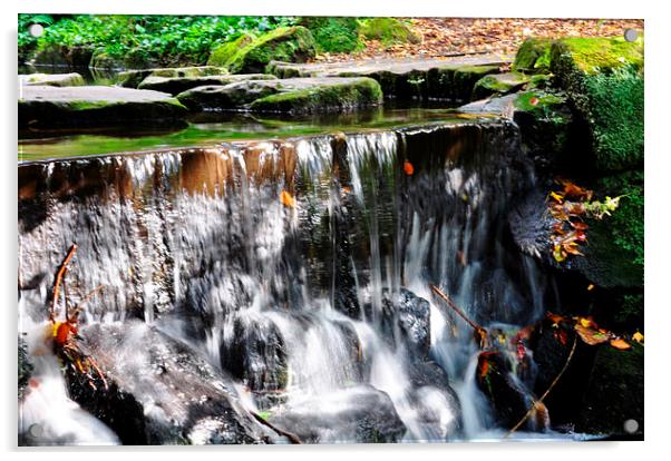the waterfall Acrylic by sue davies
