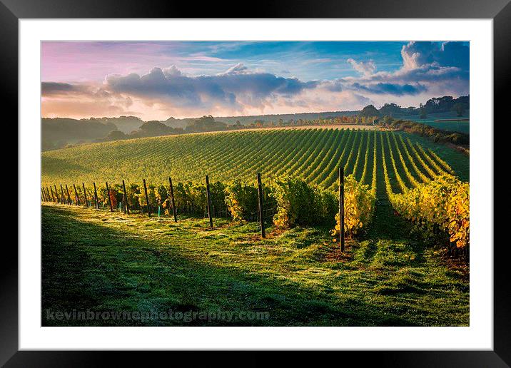 Sunrise over a Hampshire vineyard Framed Mounted Print by Kevin Browne