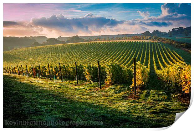 Sunrise over a Hampshire vineyard Print by Kevin Browne