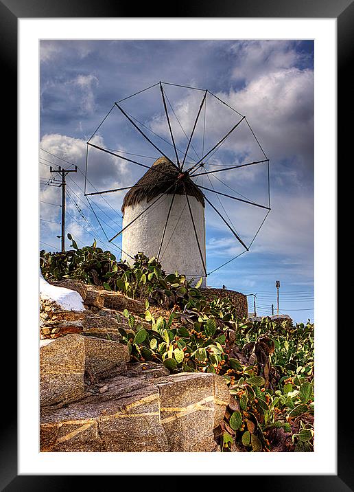 Windmill in a Pricky Pear field Framed Mounted Print by Tom Gomez