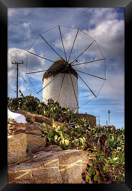 Windmill in a Pricky Pear field Framed Print by Tom Gomez