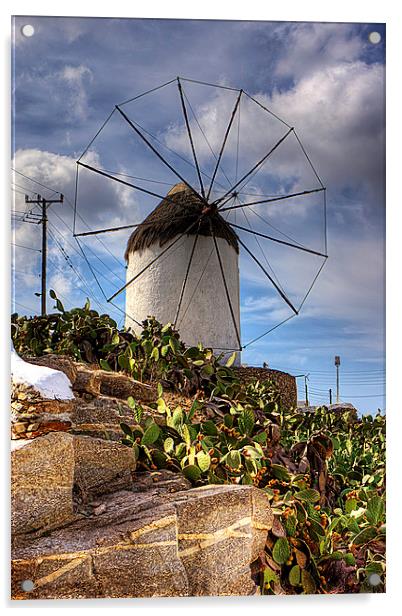 Windmill in a Pricky Pear field Acrylic by Tom Gomez