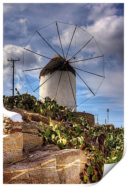 Windmill in a Pricky Pear field Print by Tom Gomez