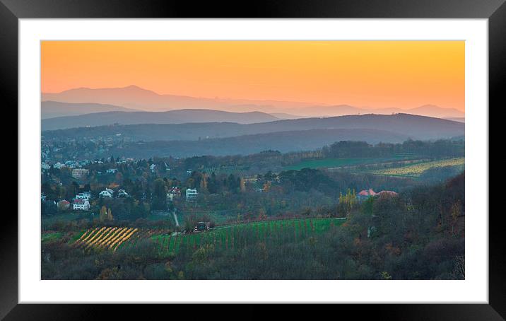 Vienna hills view Framed Mounted Print by Sergey Golotvin
