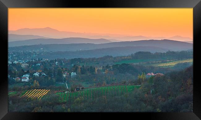 Vienna hills view Framed Print by Sergey Golotvin