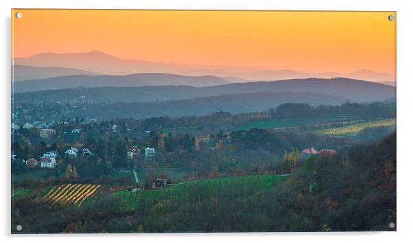 Vienna hills view Acrylic by Sergey Golotvin