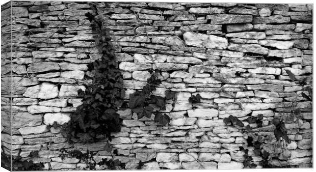 Gloucestershire Drystone Wall Canvas Print by Brian Sharland