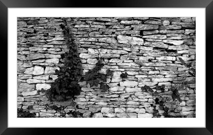Gloucestershire Drystone Wall Framed Mounted Print by Brian Sharland