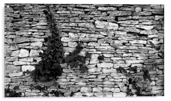 Gloucestershire Drystone Wall Acrylic by Brian Sharland