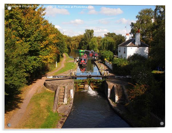 Grand Union Canal, Kings Langley Acrylic by Elizabeth Debenham