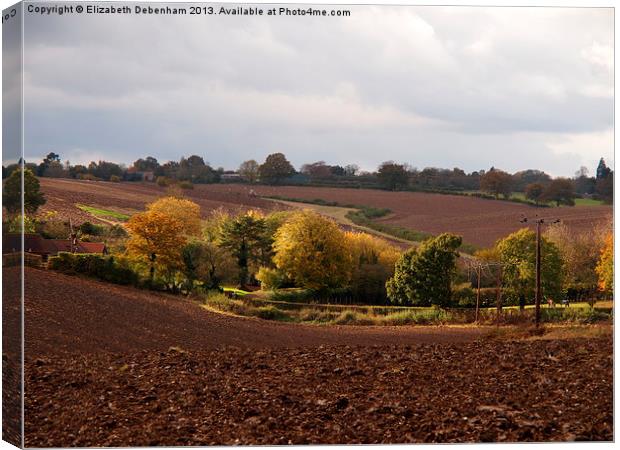 Ploughed Fields in Autumn Canvas Print by Elizabeth Debenham