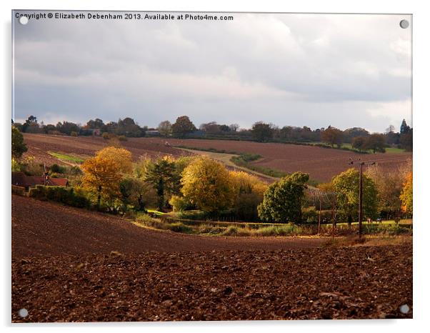 Ploughed Fields in Autumn Acrylic by Elizabeth Debenham
