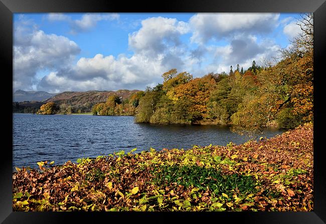 Autumnal Windermere Framed Print by Gary Kenyon