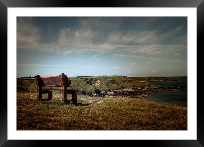 Lonely View Framed Mounted Print by Sean Wareing